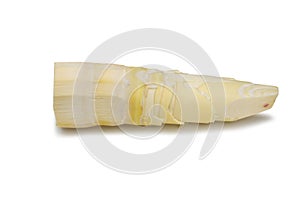 Bamboo shoot isolated on white background