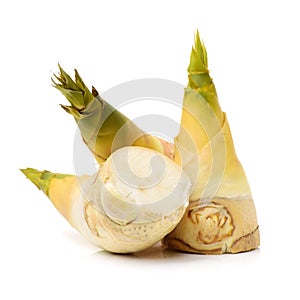 Bamboo shoots