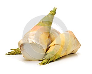 Bamboo shoots