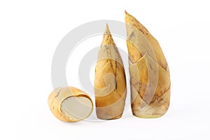 Bamboo shoots