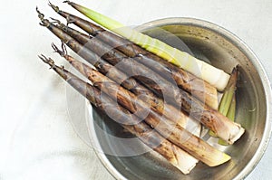 Bamboo shoots