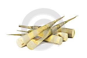 Bamboo shoots