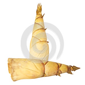 Bamboo shoots