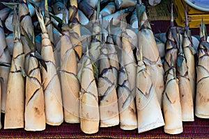 Bamboo shoots arranged on a mat.