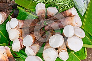Bamboo shoots or bamboo sprouts High in Uric Acid photo
