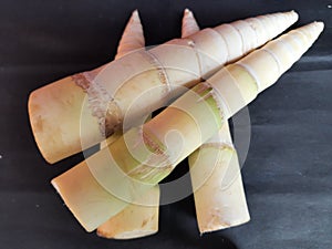 Bamboo shoots in black background.