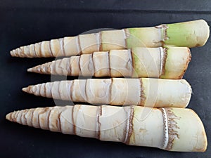 Bamboo shoots in black background.