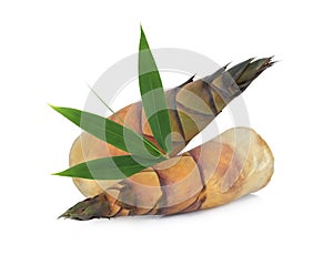 bamboo shoots with leaf isolated on white
