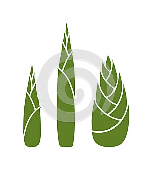 Bamboo shoots logo. Isolated bamboo shoots white background