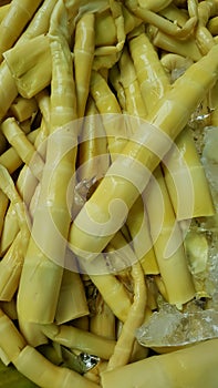 Bamboo shoots sold in the market in Asia