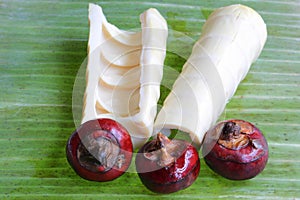 Bamboo Shoots & Water Chestnuts