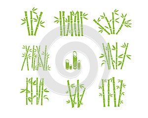 Bamboo Silhouette Graphic Design