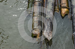 Bamboo soaked in water.