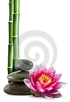 Bamboo, Spa Stones and Lotus