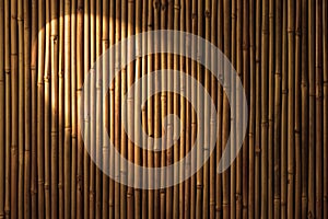 Bamboo Spotlight Background