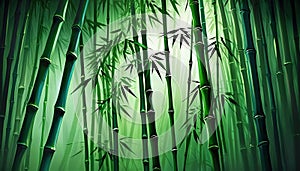 Bamboo Spotlight Background