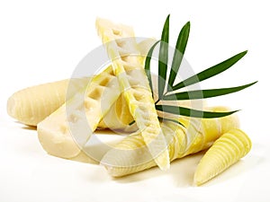 Bamboo Sprouts on white Background - Isolated