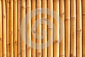 Bamboo stalks pattern
