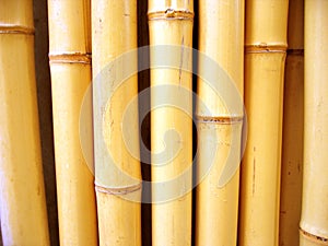 Bamboo sticks