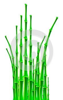 Bamboo sticks over white background