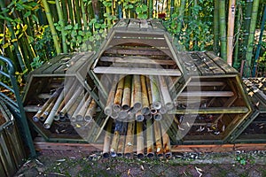 Bamboo sticks poles for sale in wooden hexagon bucket in Bambouseraie de Prafrance Cevennes park, Generargues, Languedoc, France