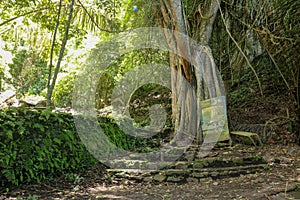 Bamboo sticks in Trunyan village. Traditional Kuburan in Bali, Indonesia. Bodies are buried above ground. Human skull among