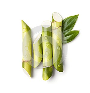 Bamboo sticks with water drops