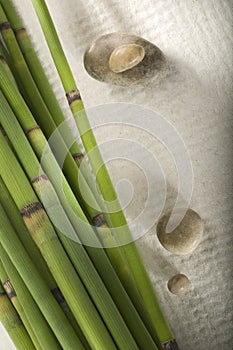 Bamboo Sticks and Zen Stones