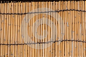 Bamboo stockade background