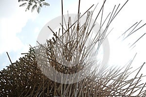 Bamboo Structure - Art - Design