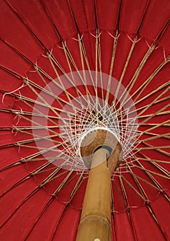 Bamboo structure of an umbrella