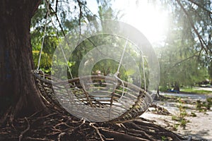 Bamboo swing hanging on the tree