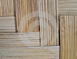 Bamboo texture