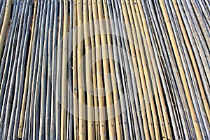 Bamboo, texture