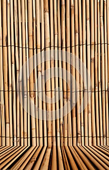 Bamboo texture background with