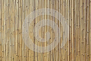 Bamboo texture background