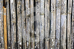 Bamboo texture background