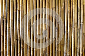 Bamboo texture, background and wallpaper. Wall decoration and design.