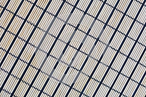 Bamboo texture closeup. Pattern with black lines in the form of rectangles.