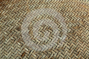 Bamboo texture