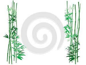 Bamboo Thicket Background