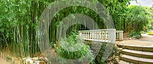 Bamboo thicket and stone decorative footbridge in park