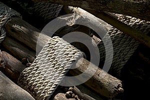 Bamboo , tie a rope.