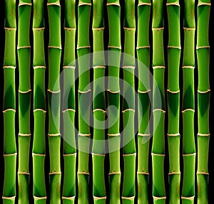 Bamboo tile