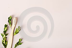 Bamboo toothbrush with green leaves