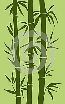 Bamboo tree illustration