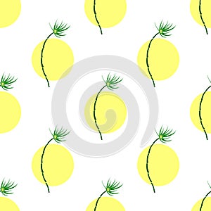 Bamboo tree with leaves and yellow sun isolated on white background is in Seamless pattern