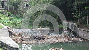Bamboo tree waste clogs river flows