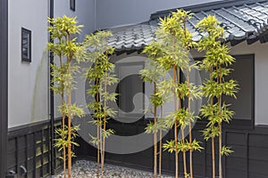 Bamboo trees in courtyard, Brief Message of the Heart Museum, Maruoka, Japan