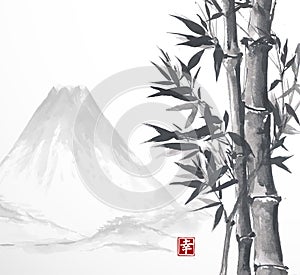 Bamboo trees and high mountains